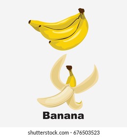 banana fruit vector illustration