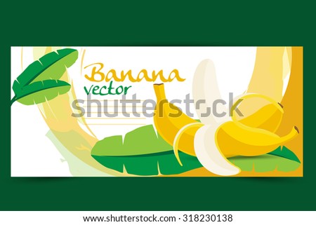 Banana, fruit vector illustration