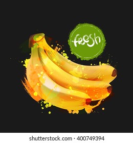 Banana fruit vector illustration. Bunch of bananas isolated on white background. 