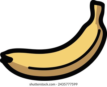 Banana Fruit Vector Illustration Graphics Design 