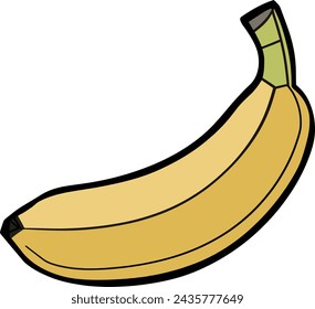 Banana Fruit Vector Illustration Graphics Design 