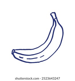 Banana fruit. Vector illustration. Hand drawn sketch. Blue pen or marker drawing. Primitive kids picture.