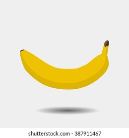 Banana, fruit vector illustration isolated on white background.