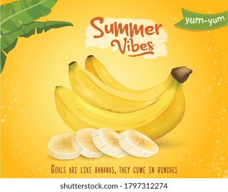 Banana fruit  vector illustration with banana slices isolated  on yellow background