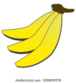 banana fruit vector, white background. shaded banana fruit vector, banana vector, banana fruit vector