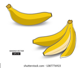 banana fruit vector.bunch banana .