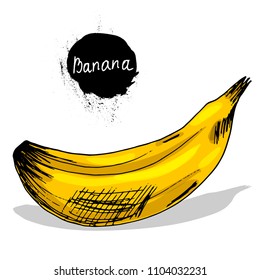 banana Fruits and berries. Growing vitamins. Right meals. Sketch. Hand drawing. Print, for T-shirts. For design.