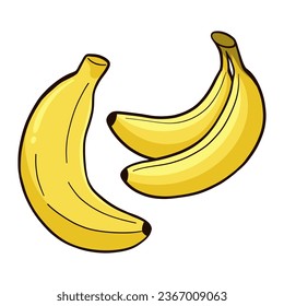 banana fruits cartoon vector illustration