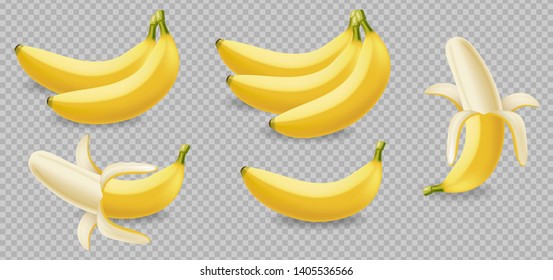 Banana fruits isolated on transparent Vector realistic poster template. Mock up for label design