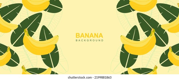 Banana fruits with leaves frame. Fruit background with bananas and leaf. Bananas frame illustration. Colored flat illustration. vector eps10