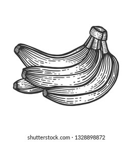 Banana fruits sketch engraving vector illustration. Scratch board style imitation. Black and white hand drawn image.