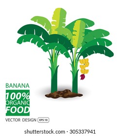 バナナの木 の画像 写真素材 ベクター画像 Shutterstock