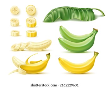 Banana fruits. Yellow and green dessert tropical fruits and palm leaf, 3d unpeeled, whole and cut raw food realistic objects, sweet flavour exotic product, cooking ingredient vector set