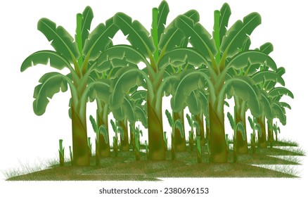 Banana garden vector design with grass