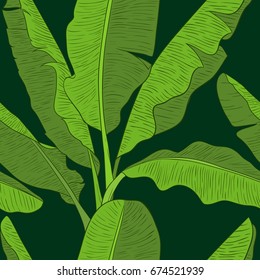 Banana green leaves pattern