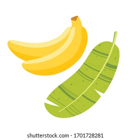 Banana with half, slices and leaves isolated on white background. Vector.