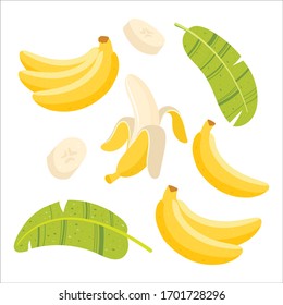 Banana with half, slices and leaves isolated on white background. Vector.