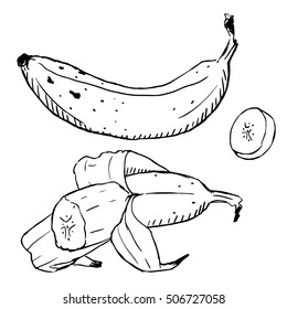 Banana hand drawn fruit vector sketch
