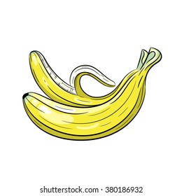 Banana hand drawn illustration isolated on a white background - stock vector