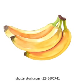 banana hand drawn with watercolor painting style illustration