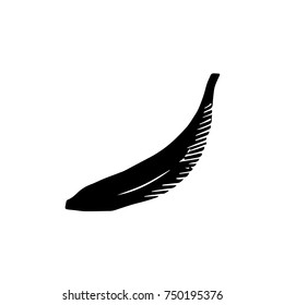 banana Hand-drawn vector illustration