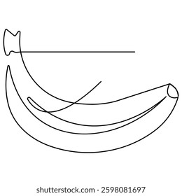 Banana  icon   continuous one line drawing of outline vector illustration 