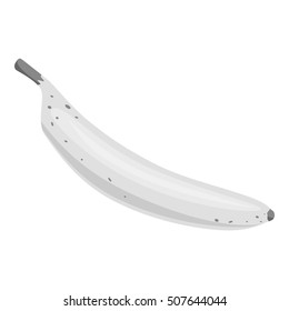Banana icon. Gray monochrome illustration of banana vector icon for web