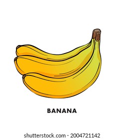 Banana Illustration Clipart Vector Design
