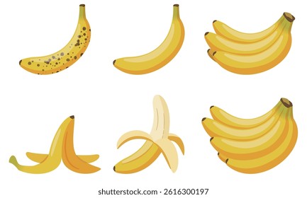 Banana illustration set, simple vector illustration