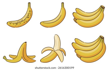 Banana illustration set, simple vector illustration