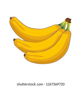 Banana. illustration vector