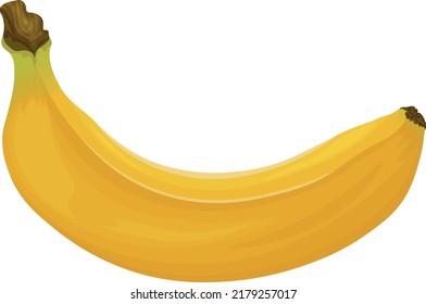 Banana. Image of a banana. Ripe tropical fruit. Ripe banana. Vector illustration isolated on a white background