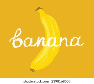 Banana isolated drawing in vector for logo design creation, bananas food label, juice or cosmetics packaging, banner design. Color banana vector icon. Tropical fruit symbol.