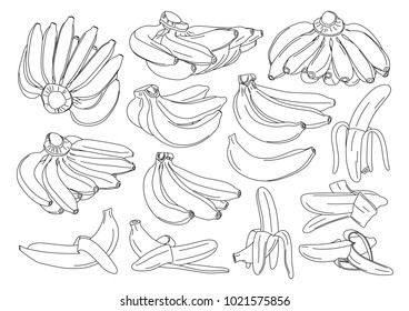 Banana isolated on white background vector illustration