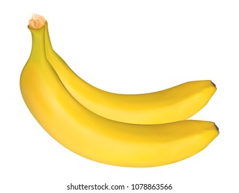 Banana Isolated on the White Background in Modern Style. Delicious Tropical Fruit. Realistic Yellow Banana for Wallpaper, Packaging, Paper, Tablecloth, Tile, Advertising, Marketing, Illustration.