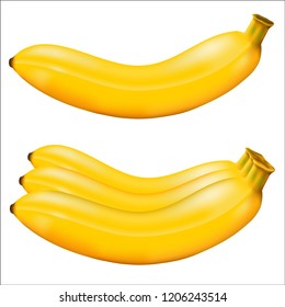 Banana isolated. Vector illustration Eps 10.vector high detail. Detailed realistic ripe fresh banana.