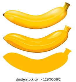 Banana isolated. Vector illustration Eps 10.vector set high and low detail. Detailed realistic ripe fresh banana.