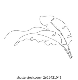 banana leaf continuous line drawing. banana leaf one line illustration