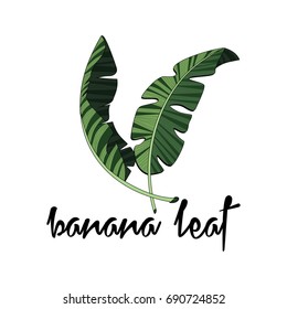 Banana leaf design element for tropical theme