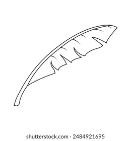 banana leaf design vector illustration