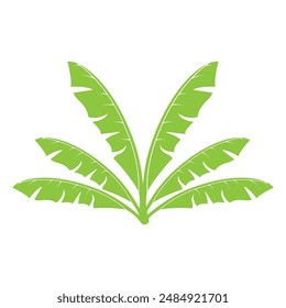 Ilustración vectorial de diseño de hoja de plátano