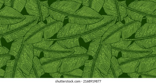 Banana leaf engraved seamless pattern. Retro tropical leaves green. Hand drawn exotic texture for fabric, wallpaper, textile, print, wrapping paper. Vector illustration.