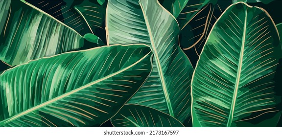 banana leaf green tropical leaves  background vector illustration