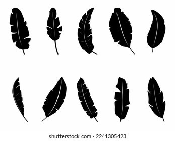 Banana leaf icon illustration. Banana leaf icon black color set. Stock vector.