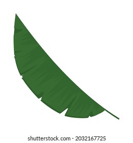 banana leaf icon on white background