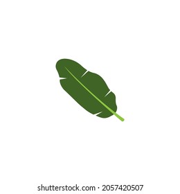 Banana leaf icon stock vector illustration  logo design.