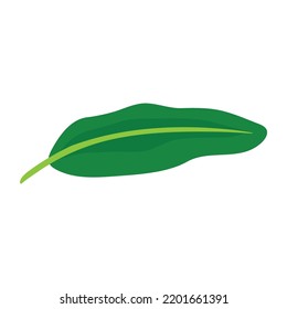 Icono de hoja de banana ilustración vector
