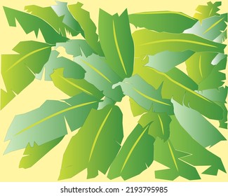A banana leaf illustration is perfect as a background or cover template. Vector design