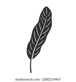 Banana leaf isolated on white background. Black banana leaf silhouette. Tropical tree. Vector illustration