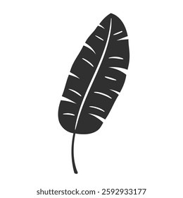 Banana leaf isolated on white background. Black banana leaf silhouette. Tropical tree. Vector illustration